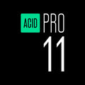 Loop-Based Music Production Multitrack Recording Software C621