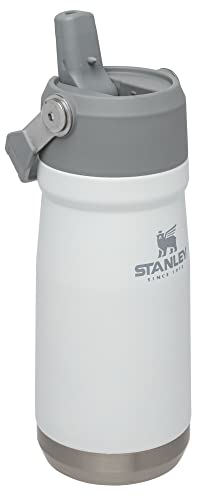 16-50 OZ Insulated Stainless Steel Water Bottle with Built-In Straw X380849
