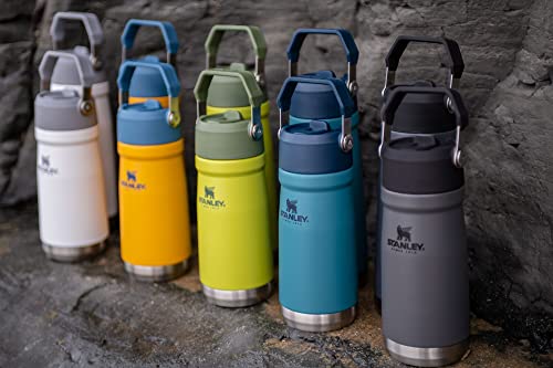 16-50 OZ Insulated Stainless Steel Water Bottle with Built-In Straw X380849