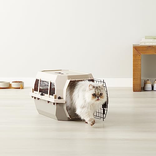 2-Door Top-Load Hard-Sided Pet Carrier, Gray & Blue, 22.8 x 15.0 x 13.0 inches Y166