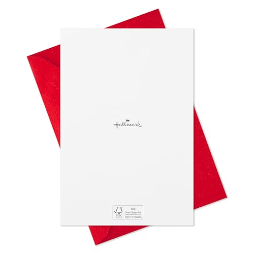 40 Cards and 40 Envelopes Red Front Door Boxed Christmas Cards W451