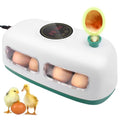 12-24 Poultry Incubator with Automatic Egg Turning and Temperature Control E380