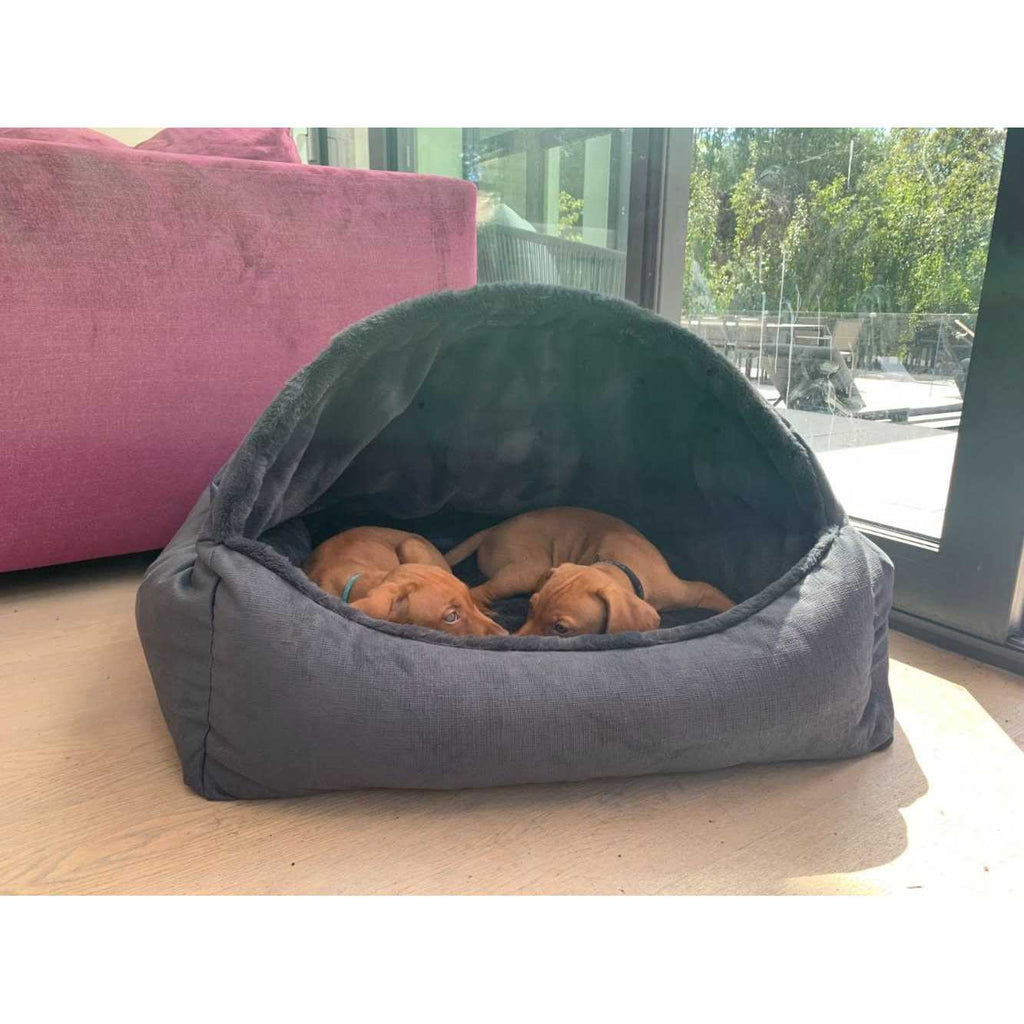 Canopy Dog Bed D114