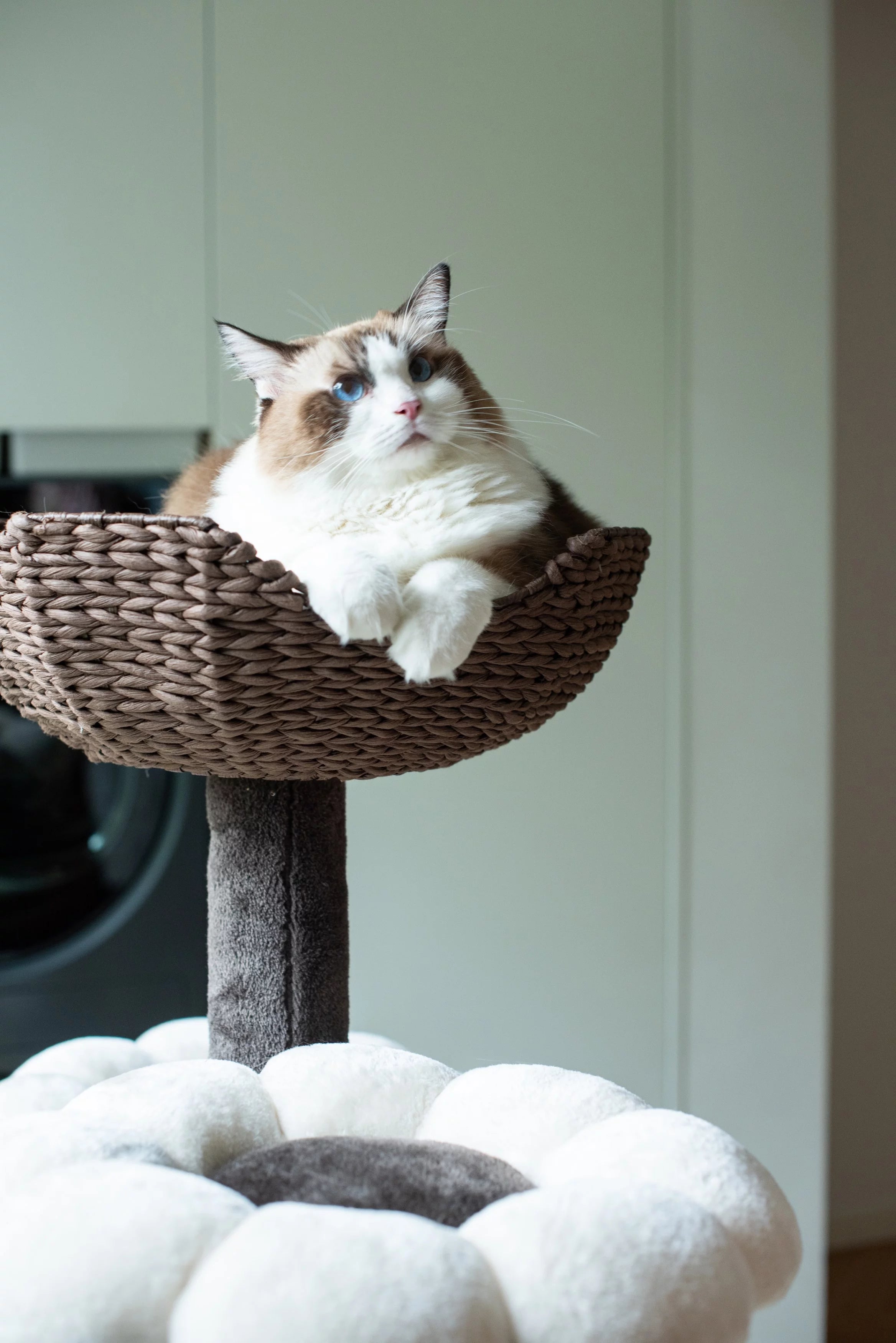 Natural Blossom Flower Woven Tree Branches Large Cat Tree 6-Level Cat Tower with Hammock Foam-Padded Perches Basket U436187