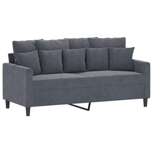 2-Piece Dark Gray Velvet Sofa Set O281726
