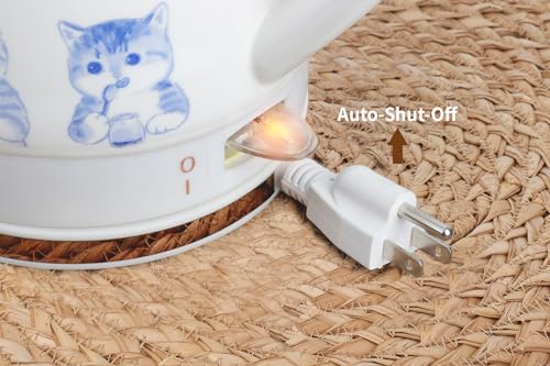 Electric Ceramic Tea Kettle, 1 L G522648