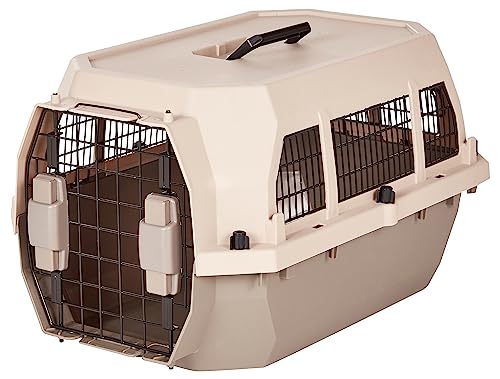 2-Door Top-Load Hard-Sided Pet Carrier, Gray & Blue, 22.8 x 15.0 x 13.0 inches Y166