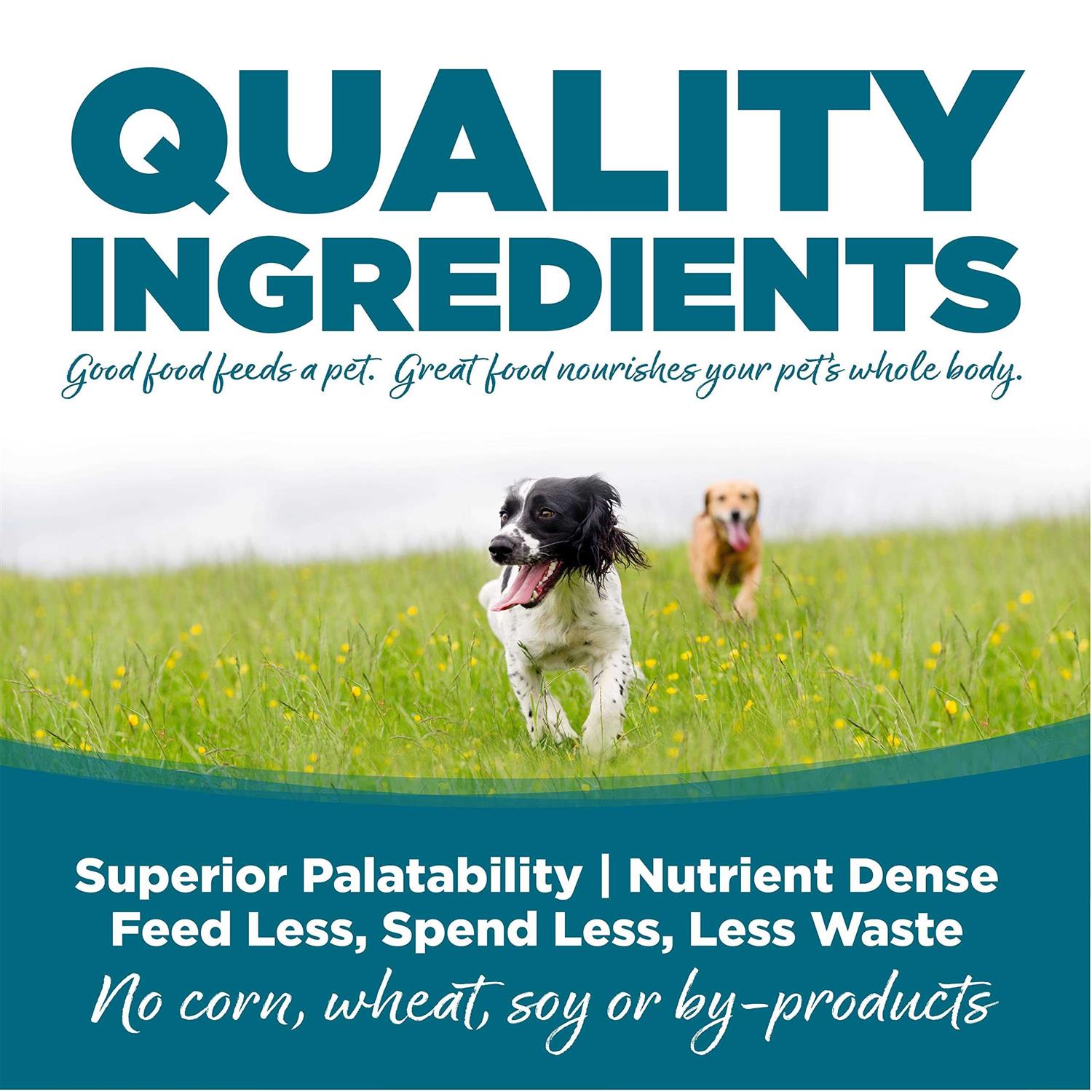 NutriSource Adult Chicken Rice Dry Dog Food M5007