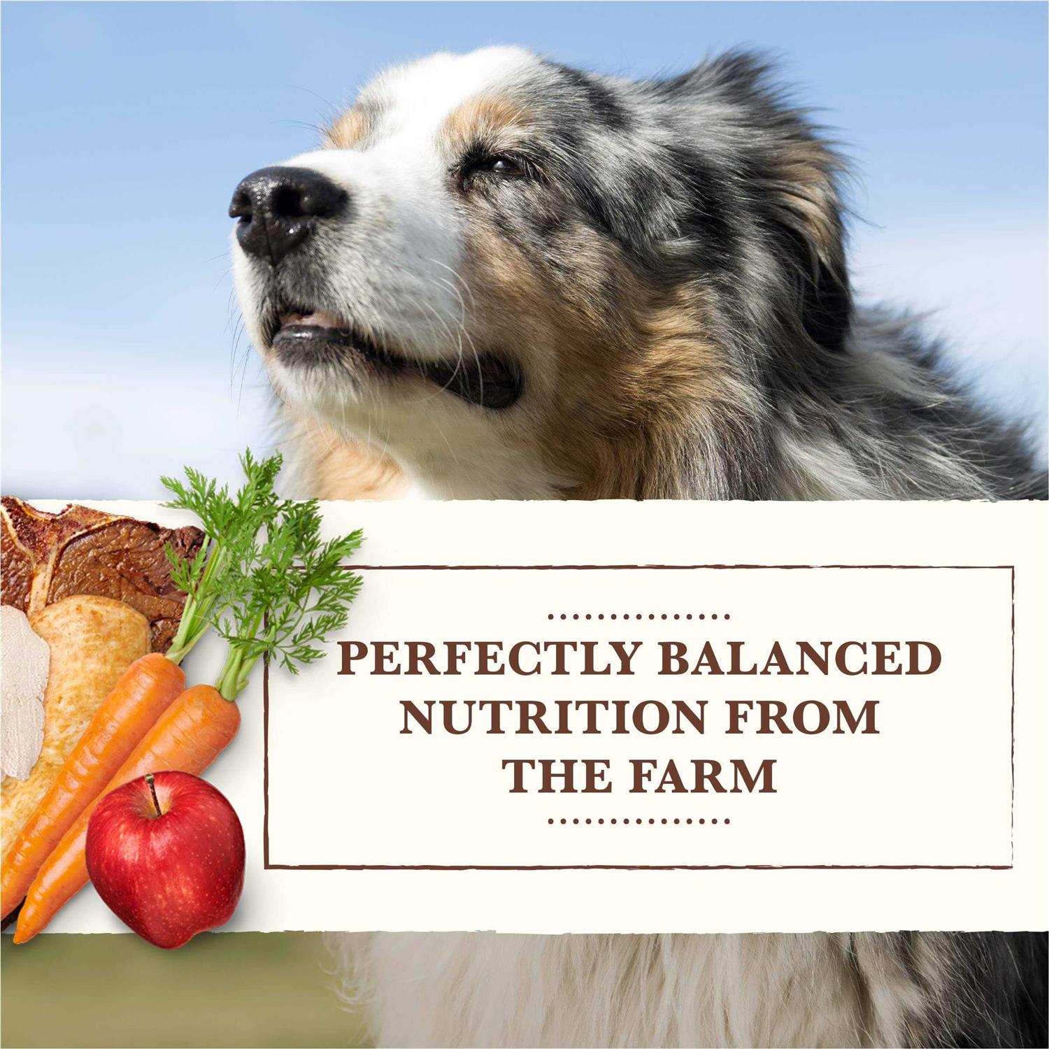 Grain Free Wet Dog Food Chicken Turkey R4818