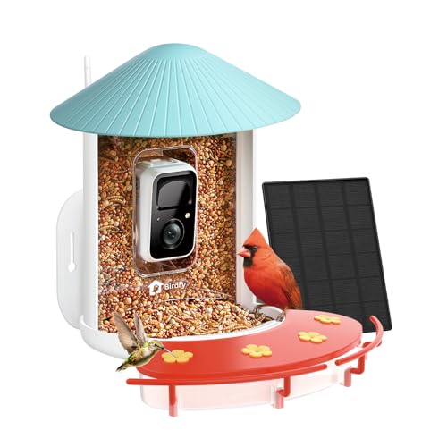 Bird Feeder with Camera Y645882