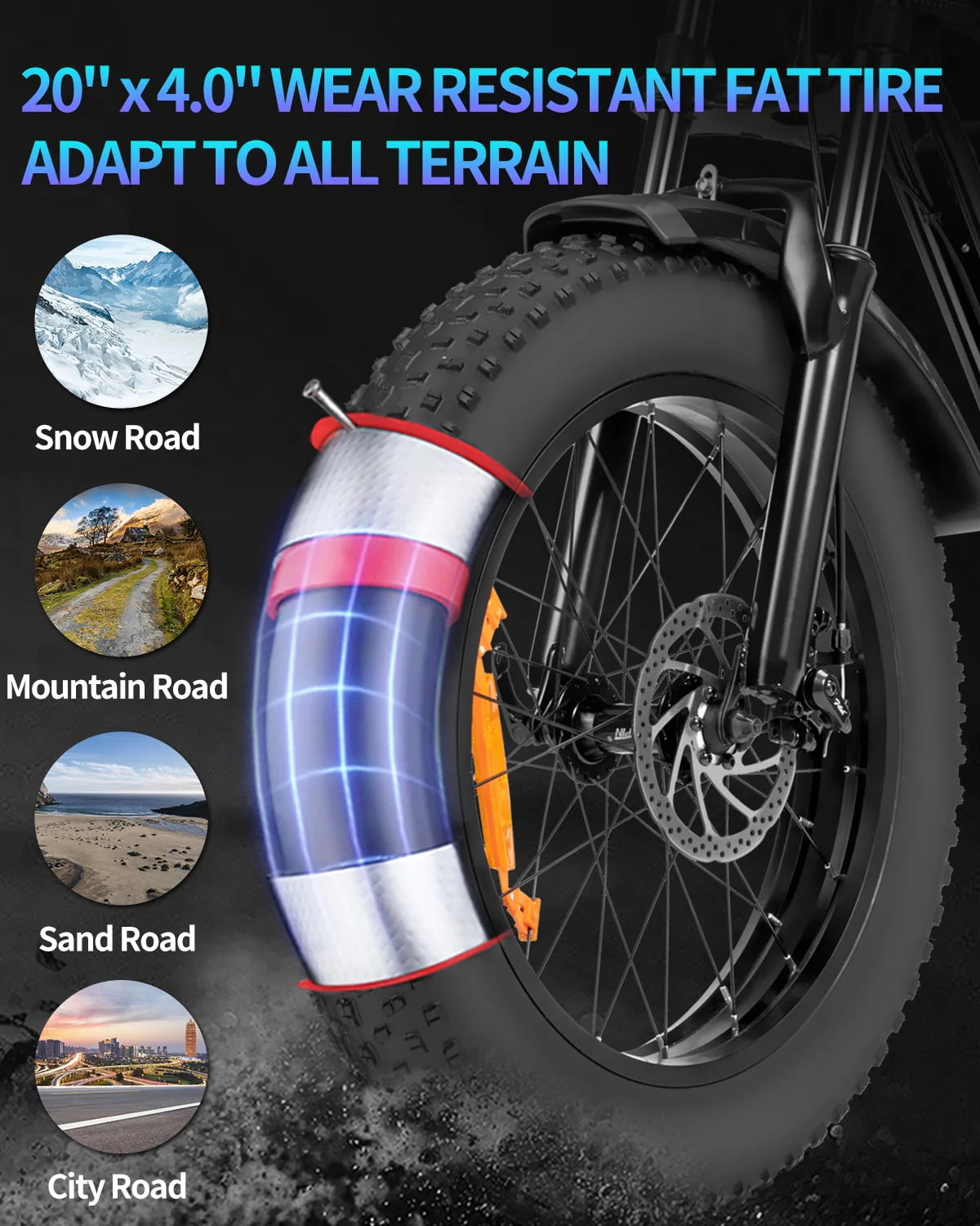 20 Fat Tire 1000W Electric Bike with 48V/20Ah Battery Z613