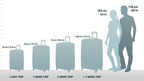 Black 15-Inch Upright Wheeled Carry-On Luggage H25968