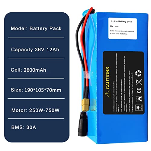 36V 48V Li-ion Ebike Battery Pack with 2A Charger R90324