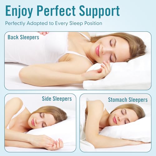King Size Bed Pillows 4 Pack Black N297