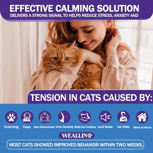 Cat Calming Diffuser Kit with 1 Diffuser + 2 Refill 48ml Vial O852