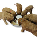 Stainless Steel Puppy Dog Bowls C211814
