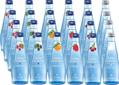 Clearly Canadian Mountain Blackberry Sparkling Water, 11 Fl Oz Q467