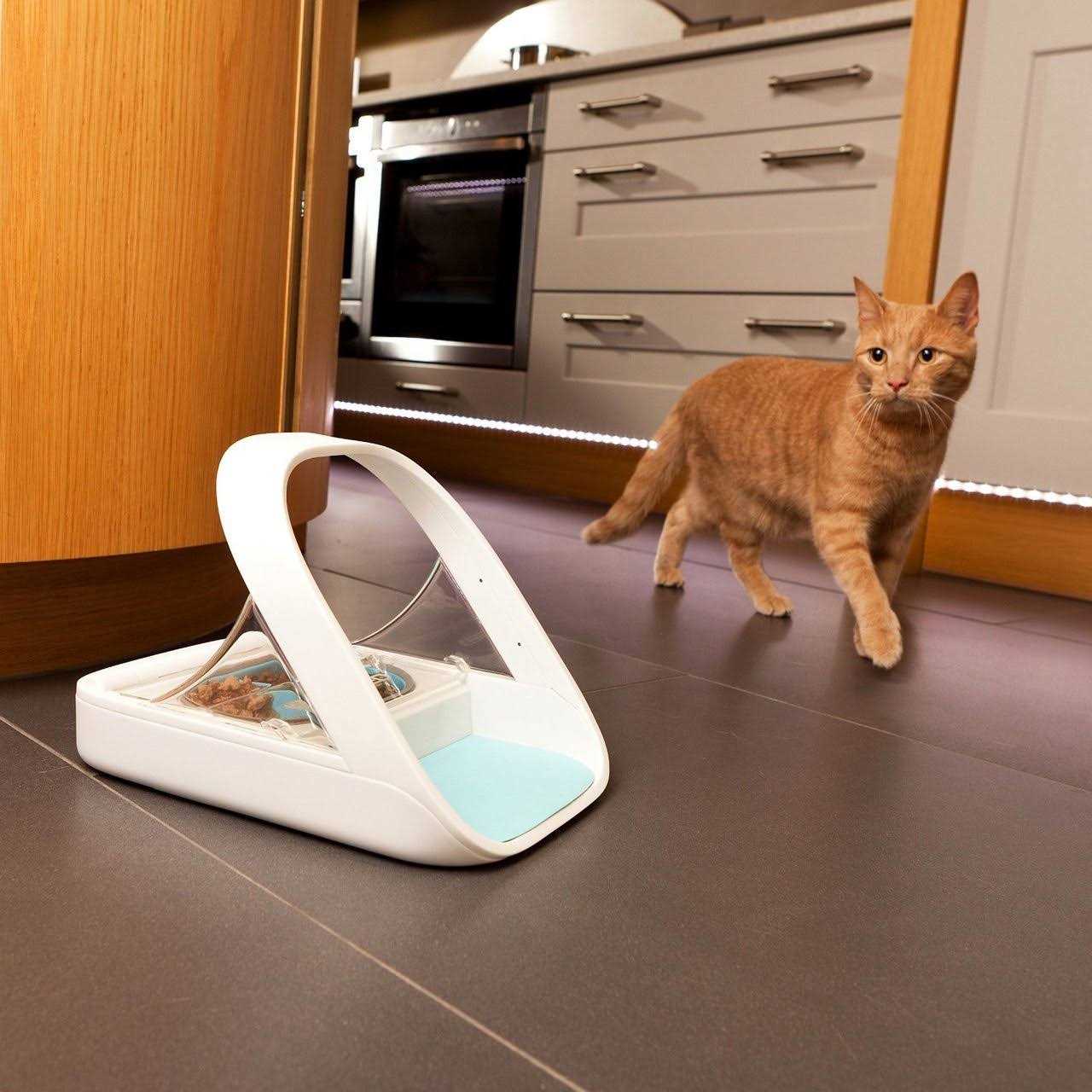 Microchip Pet Feeder Y8158