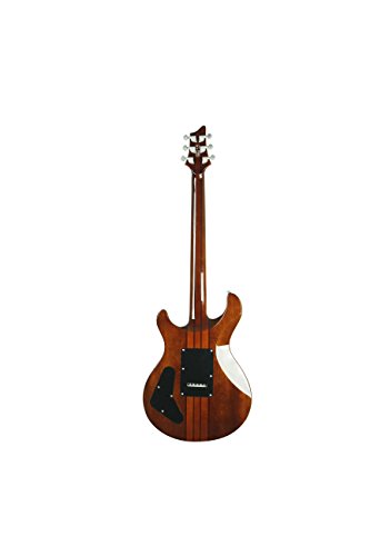Tobacco Sunburst 6 String Acoustic-Electric Guitar J8353
