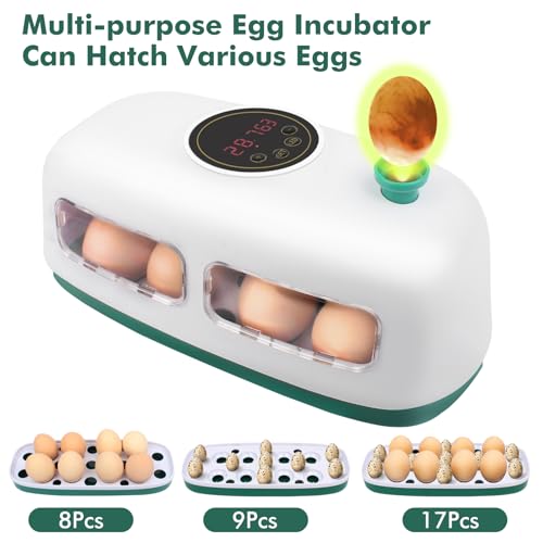 12-24 Poultry Incubator with Automatic Egg Turning and Temperature Control E380