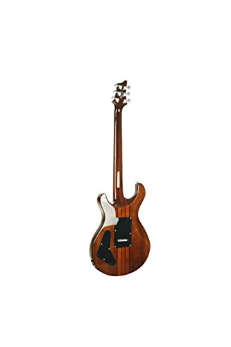 Tobacco Sunburst 6 String Acoustic-Electric Guitar J8353