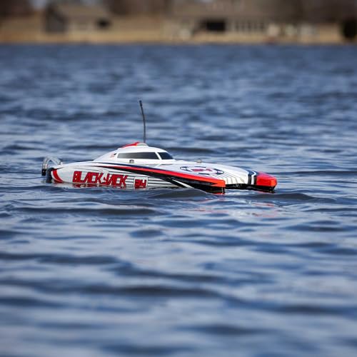 Blackjack 24" Catamaran Brushless RTR J7666
