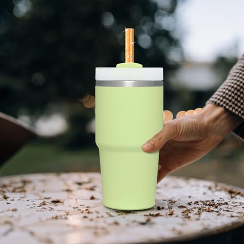 6PCS Replacement Straws for Stanley 20oz 14oz Tumbler, Reusable Clear Straws, BPA Free S793