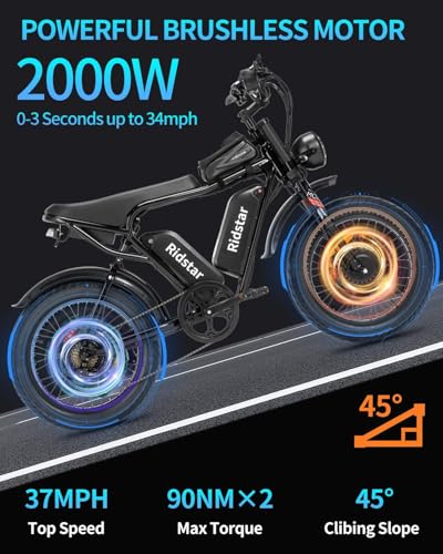 20" Fat Tire Electric Bike 1000W 48V 20AH A924460