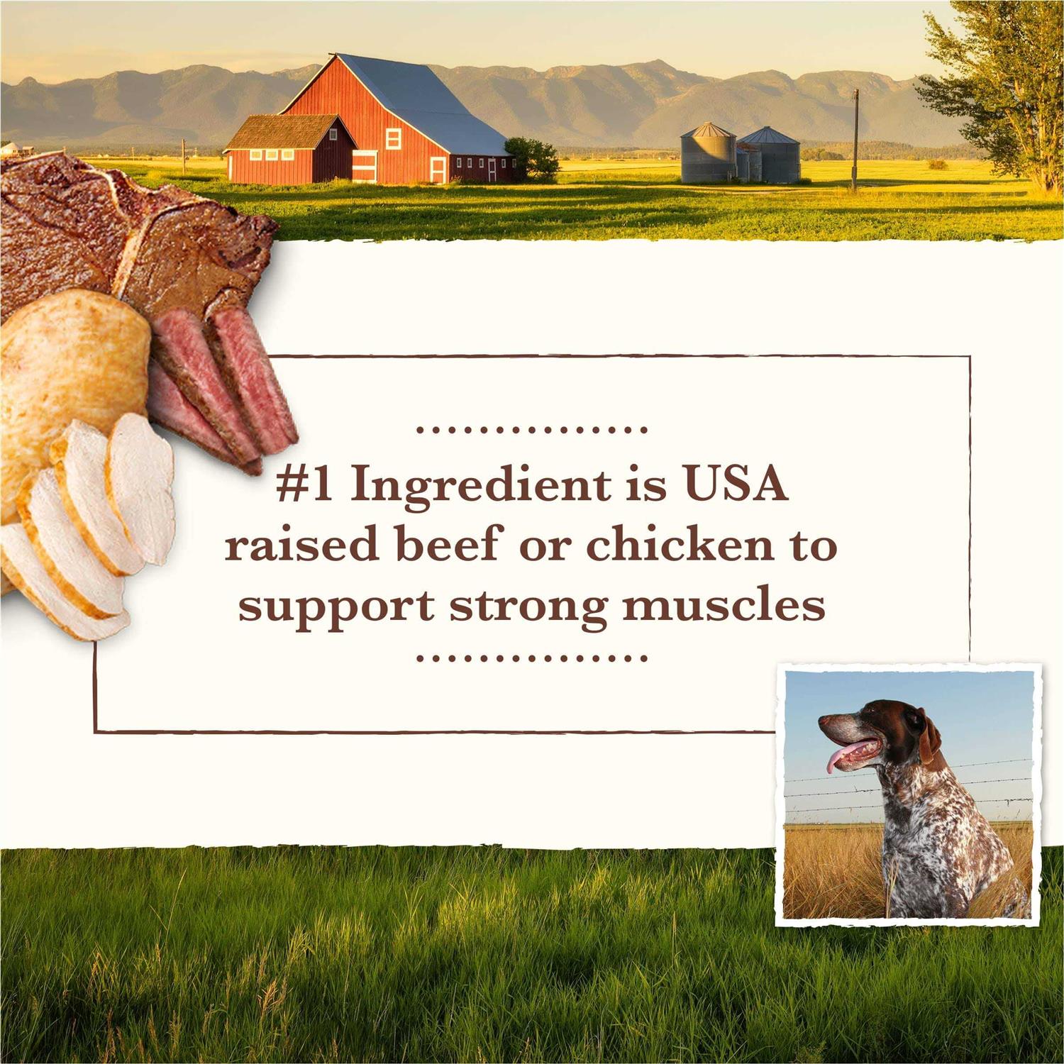 Grain Free Wet Dog Food Chicken Turkey R4818
