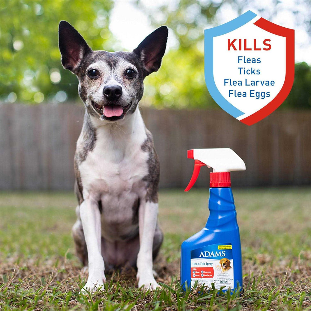 Flea Tick Spray L288978