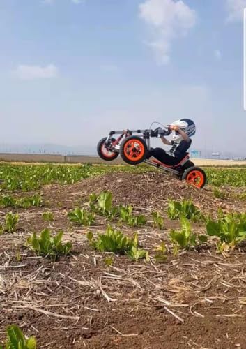 Electric Go Kart Battery Powered 800W Motor X1546