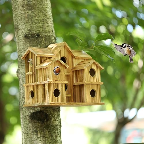 10 Hole Large Bird House J8472