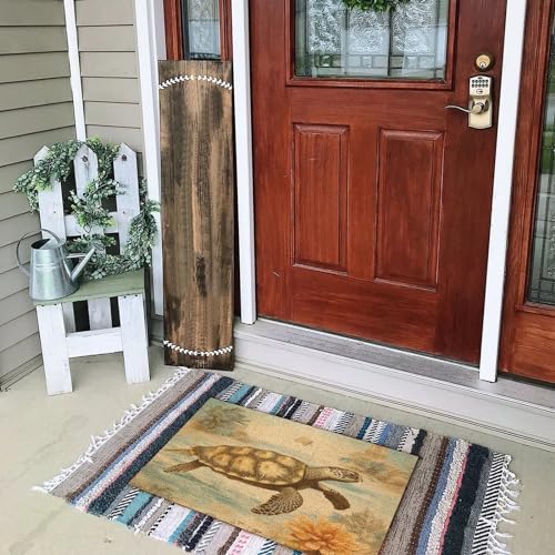 Turtle Coir Fiber Front Door Mat 16x24in R1520