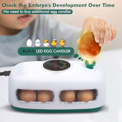 12-24 Poultry Incubator with Automatic Egg Turning and Temperature Control E380