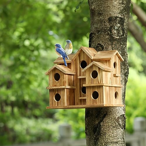 10 Hole Large Bird House J8472