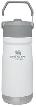 16-50 OZ Insulated Stainless Steel Water Bottle with Built-In Straw X380849