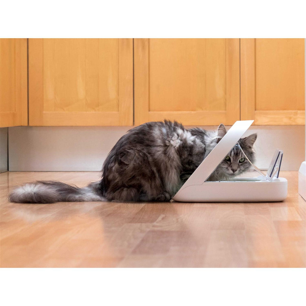 Microchip Pet Feeder Y8158