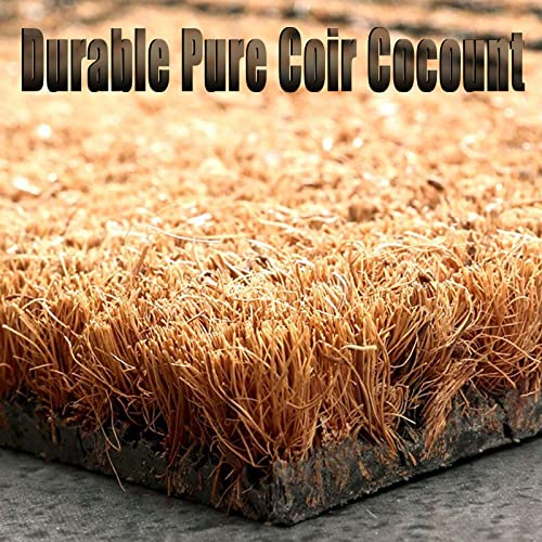 Turtle Coir Fiber Front Door Mat 16x24in R1520