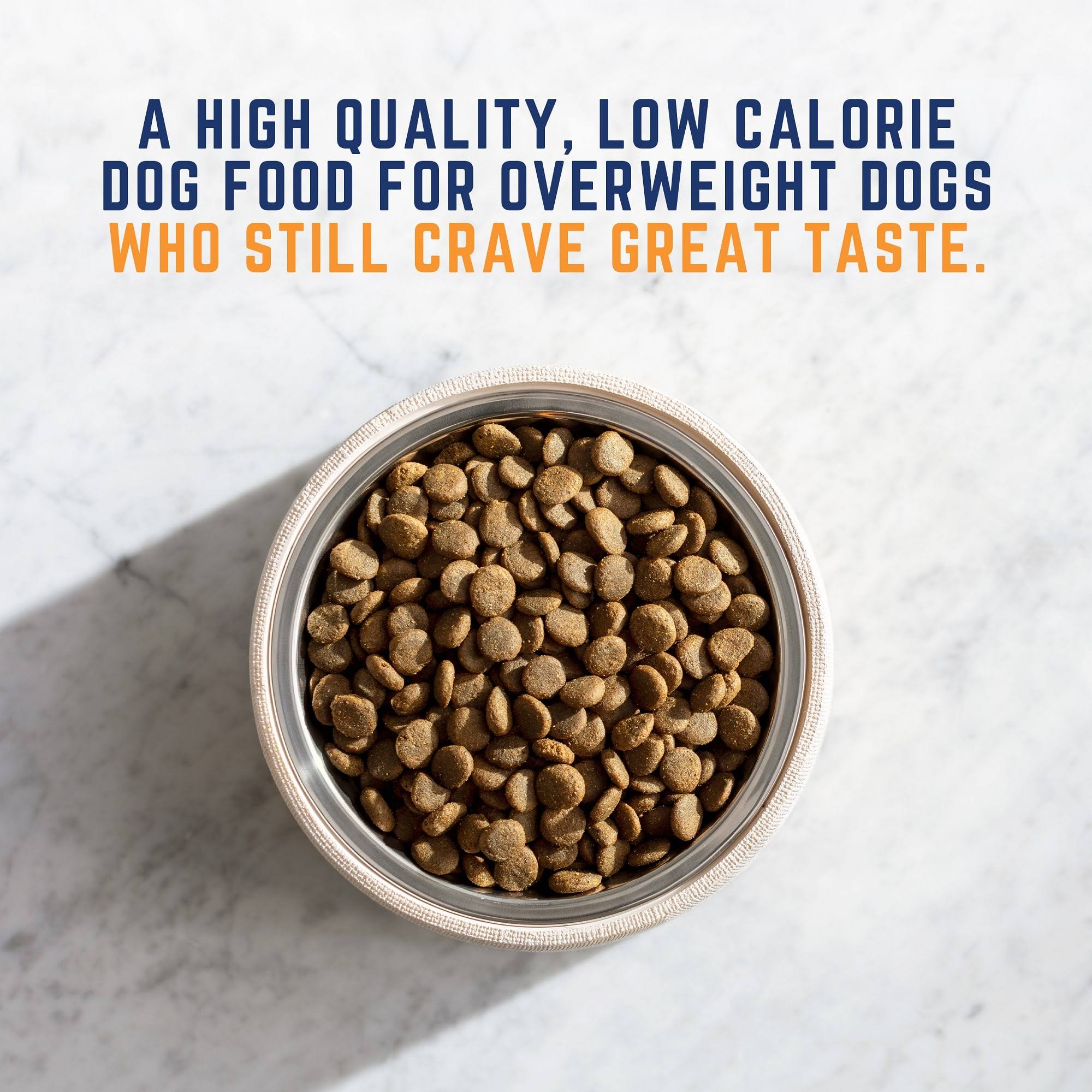 28 lb Chicken Meal Salmon Meal Barley Formula Dog Food Z6641