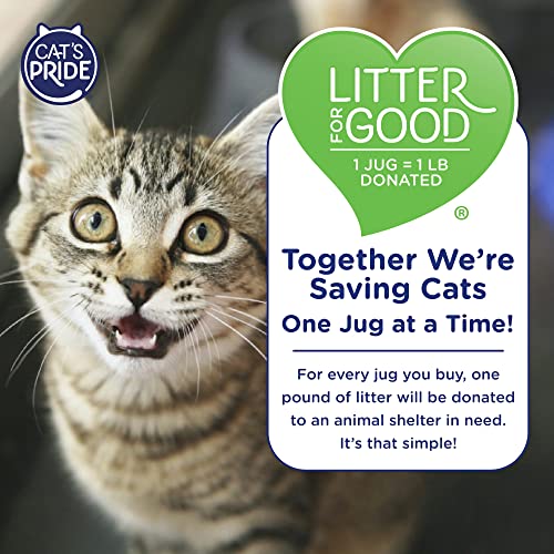 Unscented Multi-Cat Litter, 15 Pounds (Pack of 2) G327553