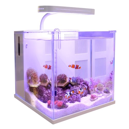 2 Gallon Small Glass Desktop Fish Tank with LED Light and Water Pump Filter M83446