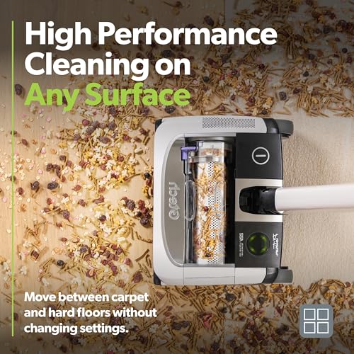 Cordless Vacuum Cleaner with Anti-Hair Wrap Brush Bar and Rechargeable 22v Li-ion Battery D389493
