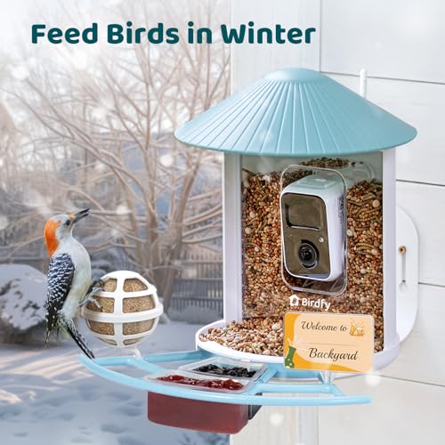 Bird Feeder with Camera Y645882