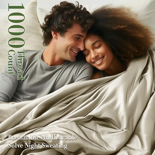 Queen Size 1000 Thread Count 100% Egyptian Cotton Sheets Set - 4 Piece (Dark Grey) D2191