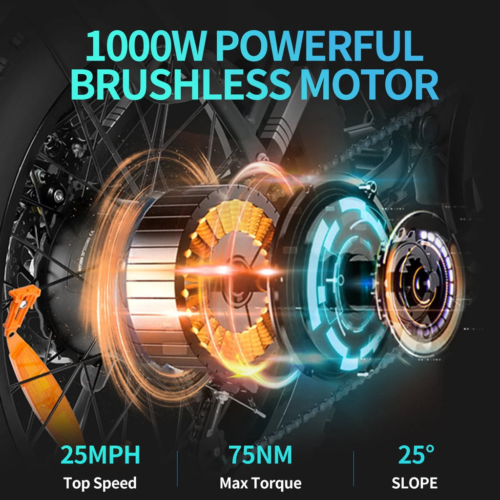 20 Fat Tire 1000W Electric Bike with 48V/20Ah Battery Z613