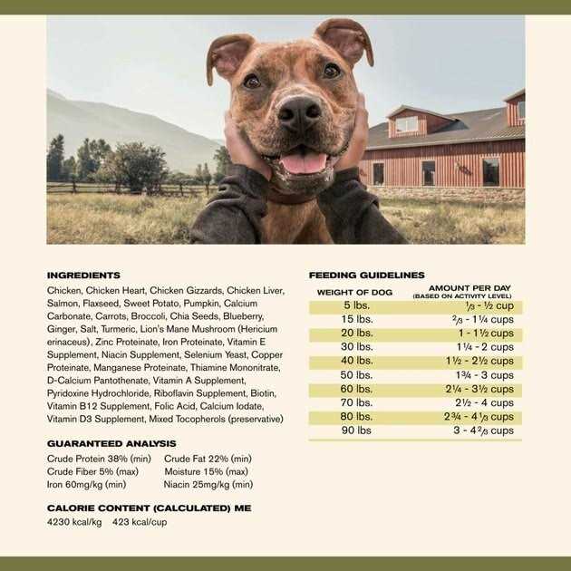 Air Dried Chicken Dog Food B729
