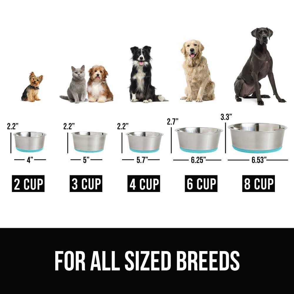 Stainless Steel Metal Dog Bowl Set of 2 with Rubber Base Z653