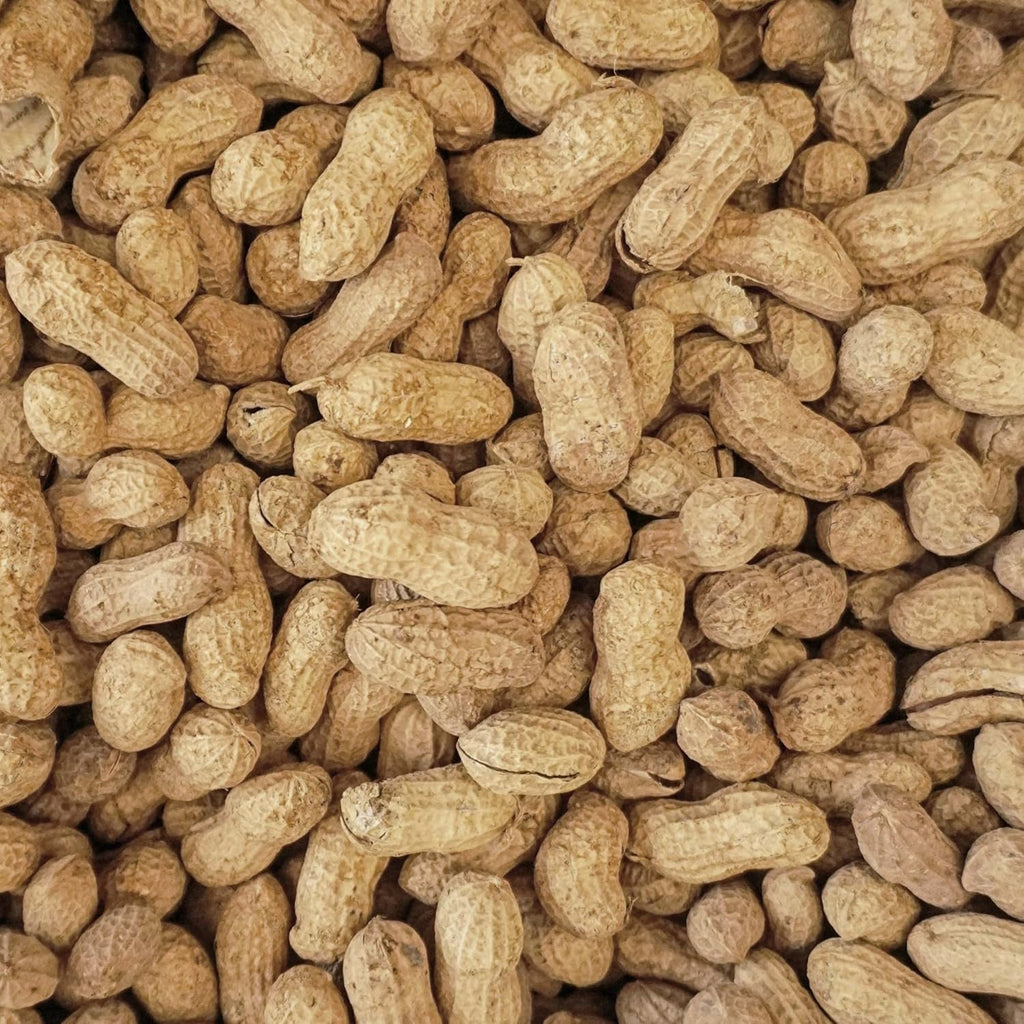 25 Pound Virgin In Shell Raw Peanuts U71377
