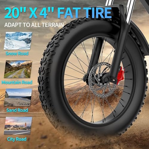 20" Fat Tire Electric Bike 1000W 48V 20AH A924460