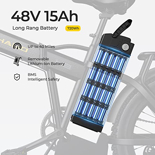 750W Brushless Motor Foldable Electric Bike with 48V 15/20AH Battery B428